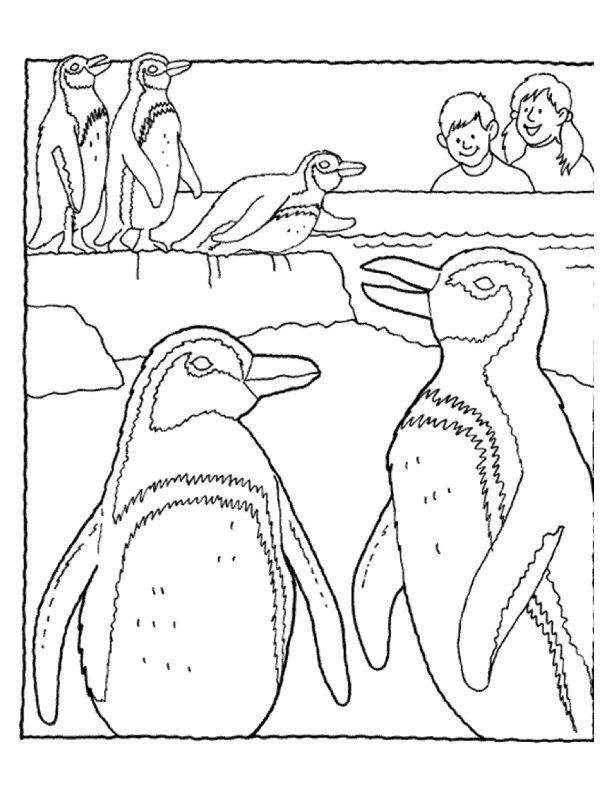 preschool winter animals coloring pages